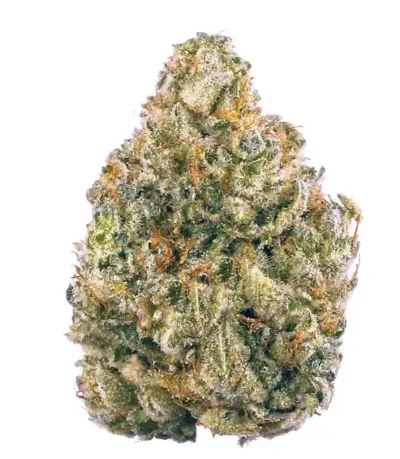 G13 Diesel | AAAA Marijuana