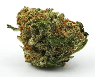 Hindu Kush Cannabis