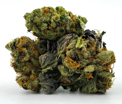 Pine Tar Cannabis