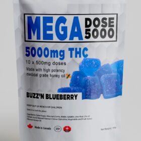 Mega Dose Blueberry 500mg