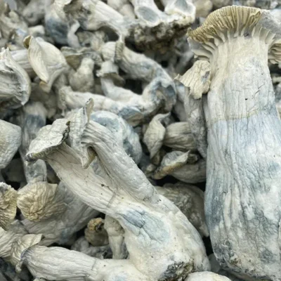 APE Magic Mushrooms (Premium) - 3.5 Grams