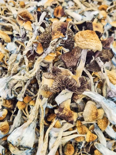 Cambodian Magic Mushrooms - 112 Grams